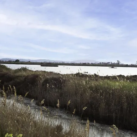 Les Regates-9 By Interhome 아파트 *